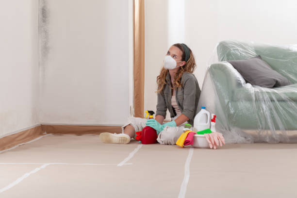 Reliable Mold Remediation contractor in Lebanon, TN by WQB Mold Removal